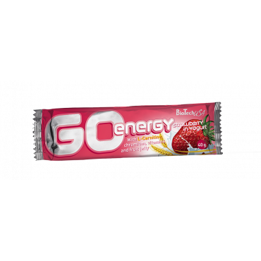 Go Energy Bar 40g