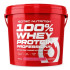 100% Whey Protein Professional